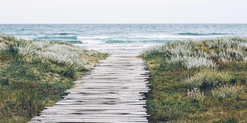 三亚旅游新体验：探索海南热带雨林生态游，呀诺达徒步、霸王岭观鸟与科考全攻略