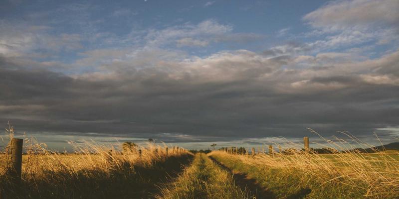 海南中线自驾探险：从海口出发，穿越五指山雨林与黎苗村寨的美食秘境之旅