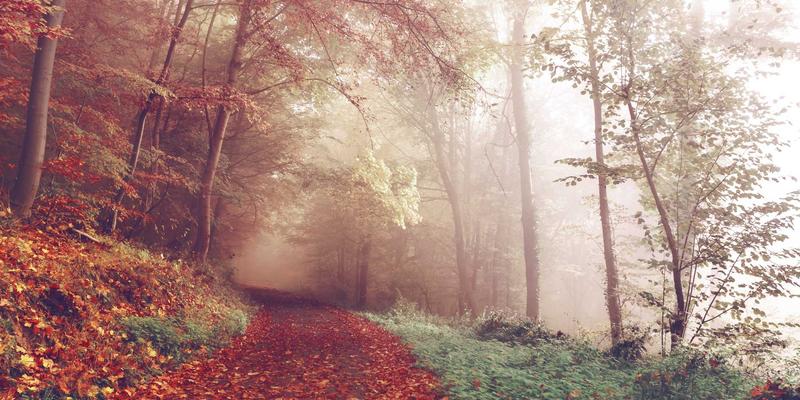 海南小众景点探索：除了三亚，海口及全岛还有哪些宝藏目的地与酒店选择