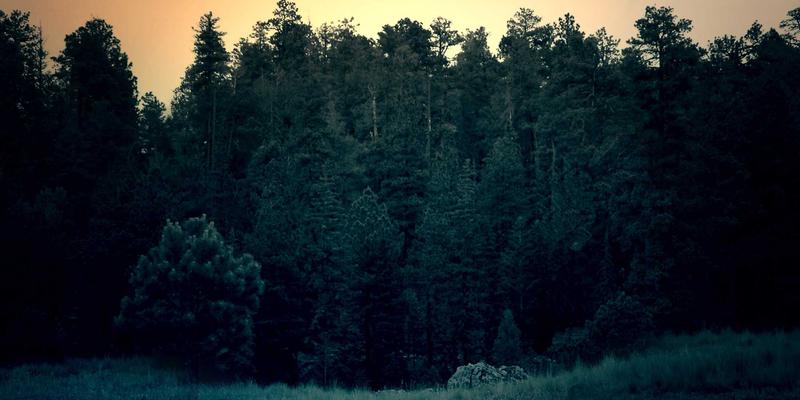 海南旅游新体验：琼海博鳌深度游，探秘亚洲论坛、饕餮潭门海鲜与万泉河漂流
