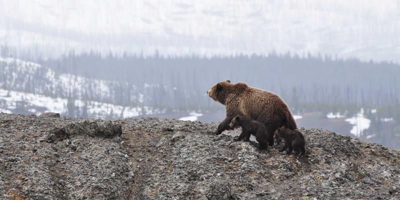 海南旅游新趋势：从三亚到海口，解锁全岛深度玩法攻略