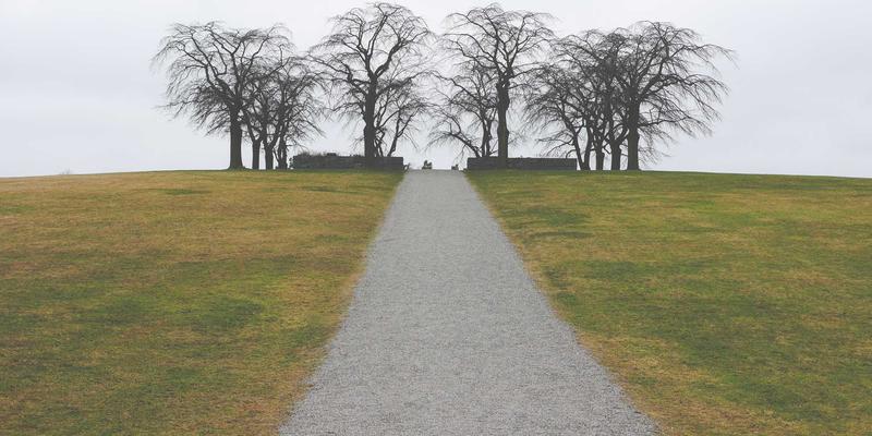 海南温泉养生之旅：从海口到三亚，探秘保亭七仙岭与万宁兴隆温泉酒店及理疗套餐