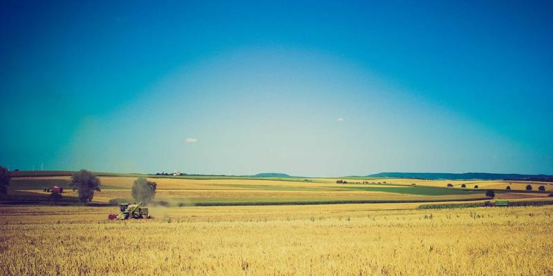 海南温泉养生度假全指南：观澜湖、兴隆、南田温泉特色与自由行美食攻略