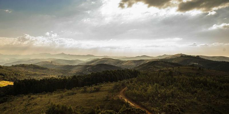 海南自由行终极指南：尖峰岭与霸王岭徒步探险及海口旅游全攻略