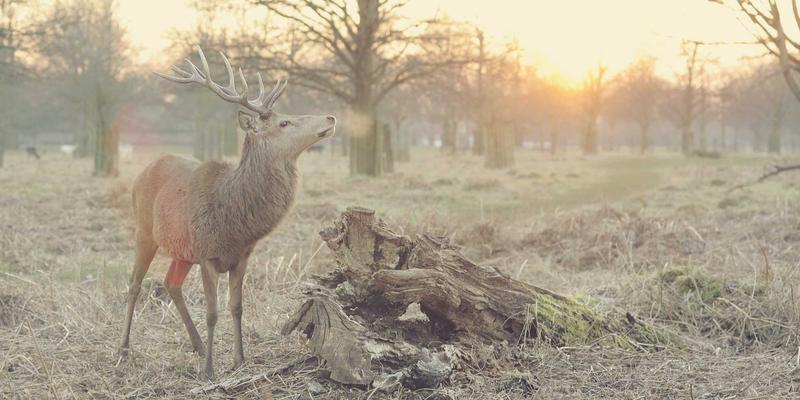 海南避寒过冬旅居全解析：海口、三亚、琼海租房成本与社区选择攻略
